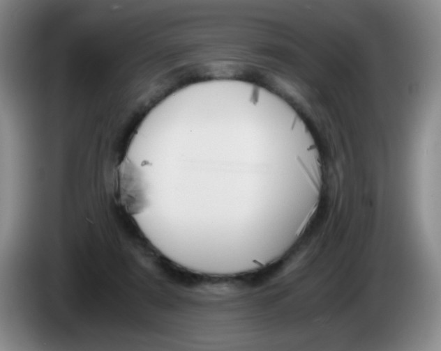 X0000083980307200703091829