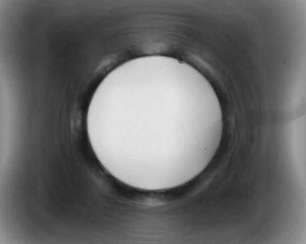 X0000083980308200703091829