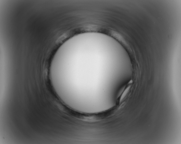 X0000083980309200703091829