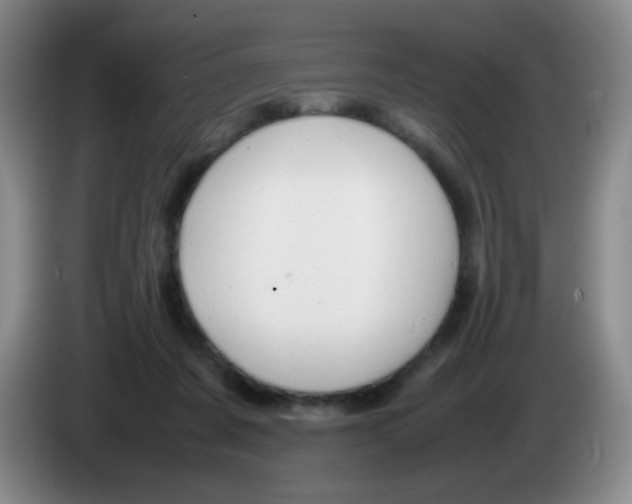 X0000083980311200703091829