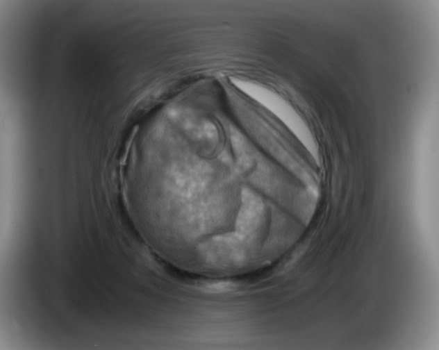 X0000083980313200703091829