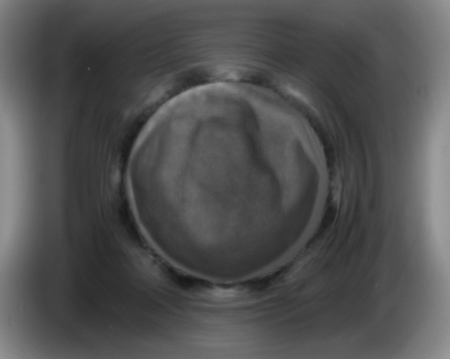 X0000083980314200703091829