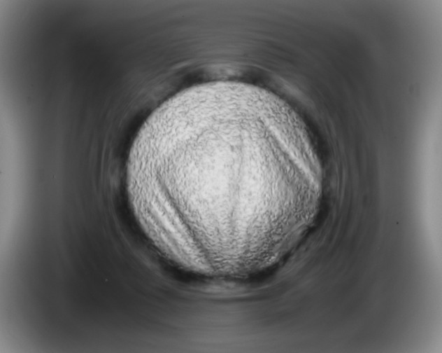 X0000083980315200703091829