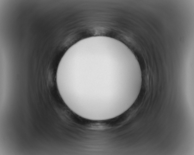 X0000083980316200703091829