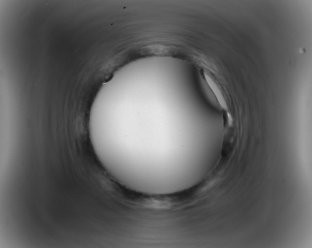 X0000083980317200703091829