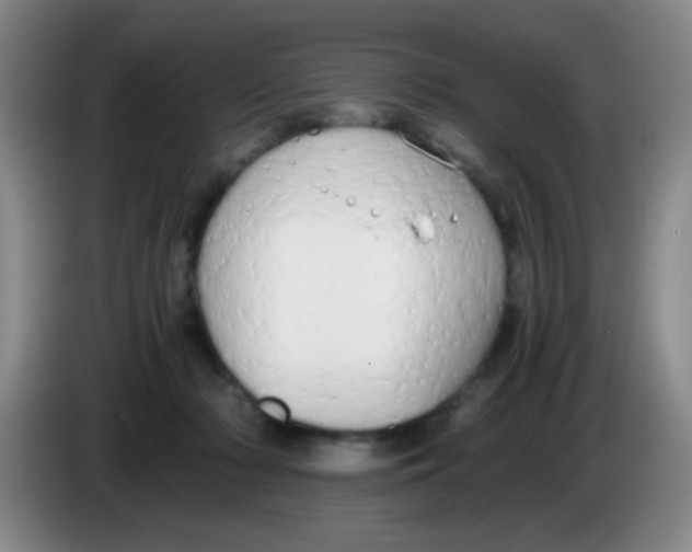 X0000083980318200703091829