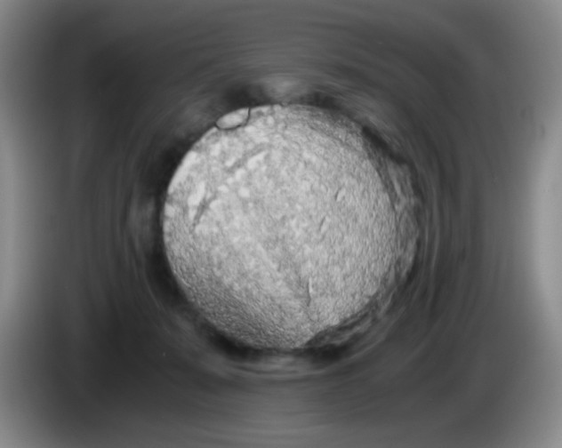 X0000083980319200703091829