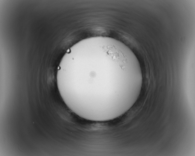 X0000083980320200703091829