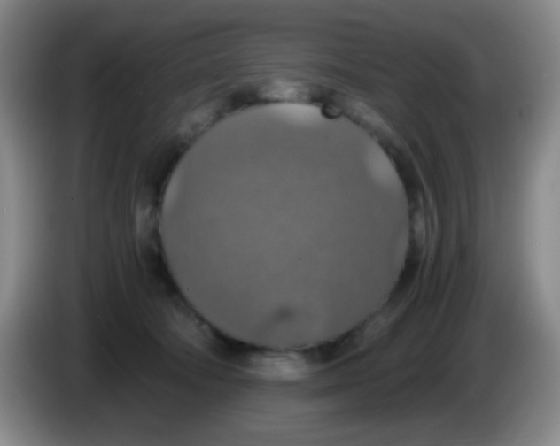 X0000083980322200703091829