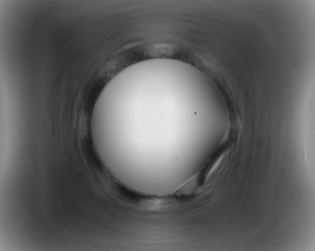 X0000083980323200703091829