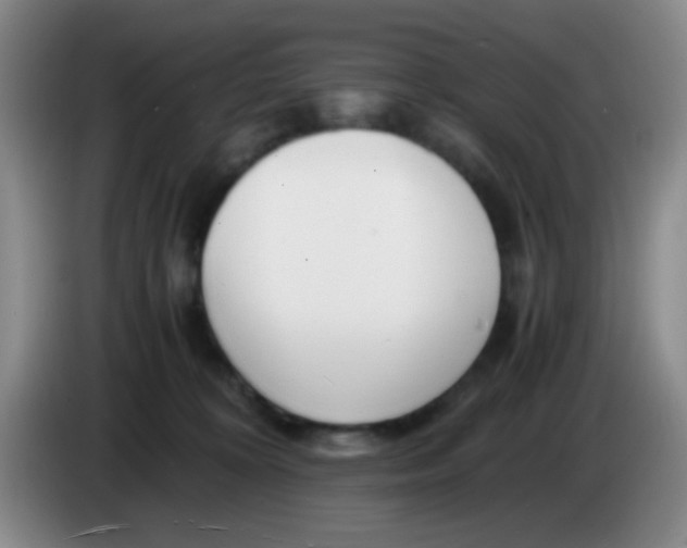 X0000083980324200703091829