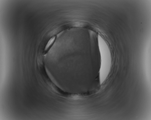 X0000083980325200703091829