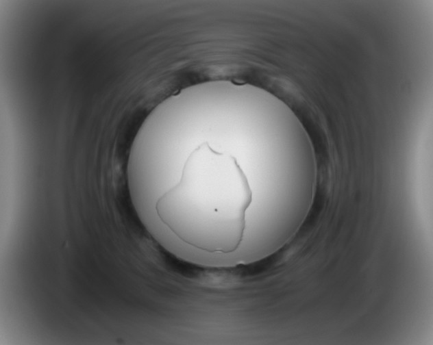 X0000083980327200703091829