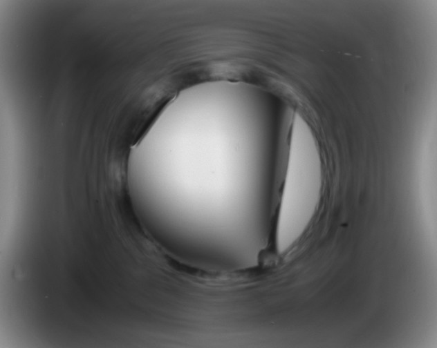 X0000083980329200703091829