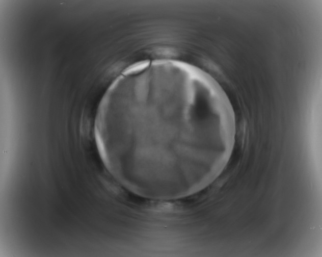 X0000083980330200703091829