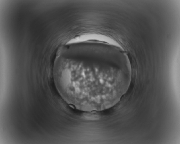 X0000083980331200703091829