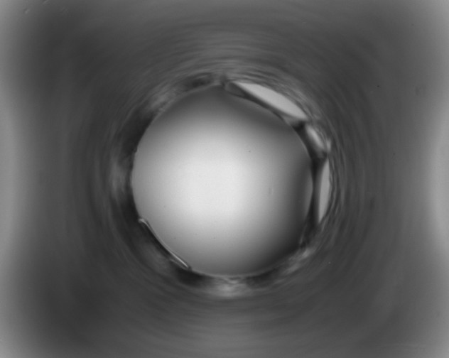 X0000083980333200703091829