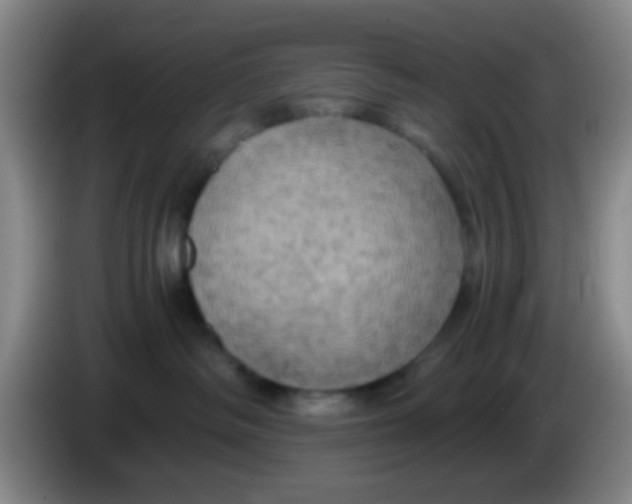 X0000083980334200703091829