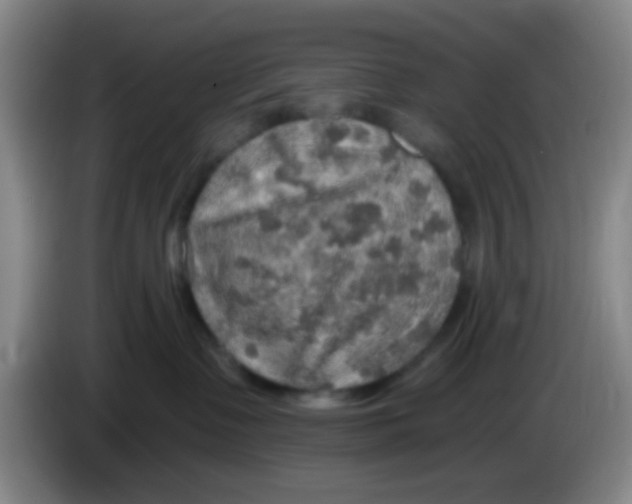 X0000083980335200703091829