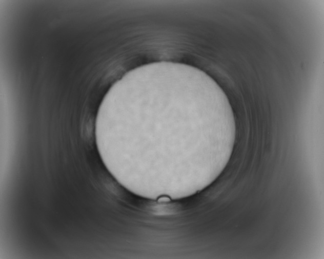 X0000083980336200703091829