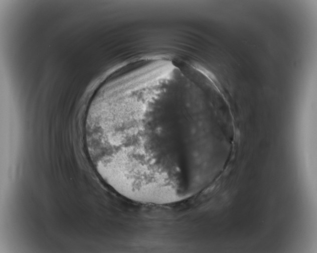 X0000083980337200703091828