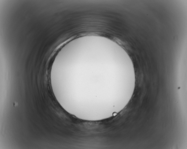 X0000083980338200703091828