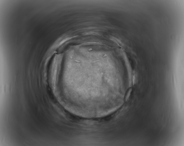 X0000083980339200703091828