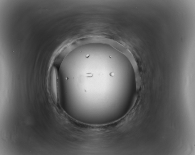 X0000083980340200703091828