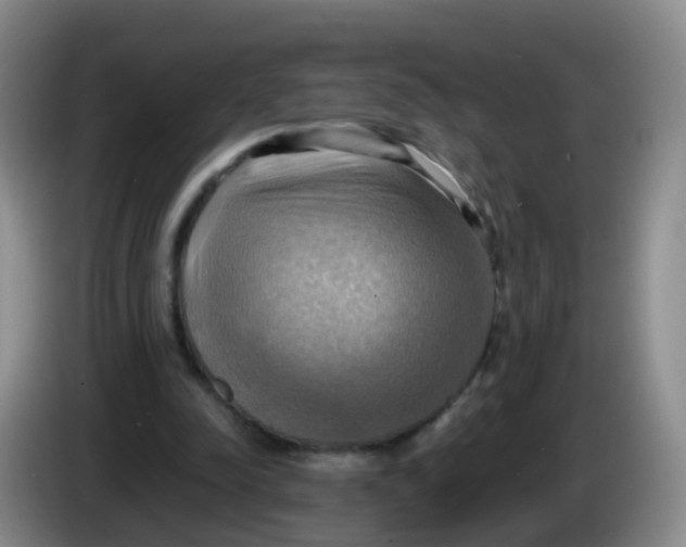 X0000083980342200703091828