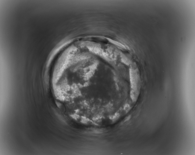 X0000083980343200703091829