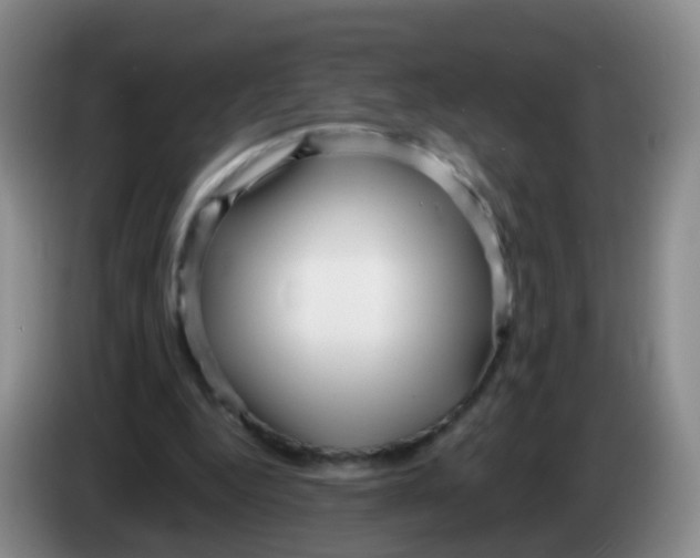 X0000083980344200703091829