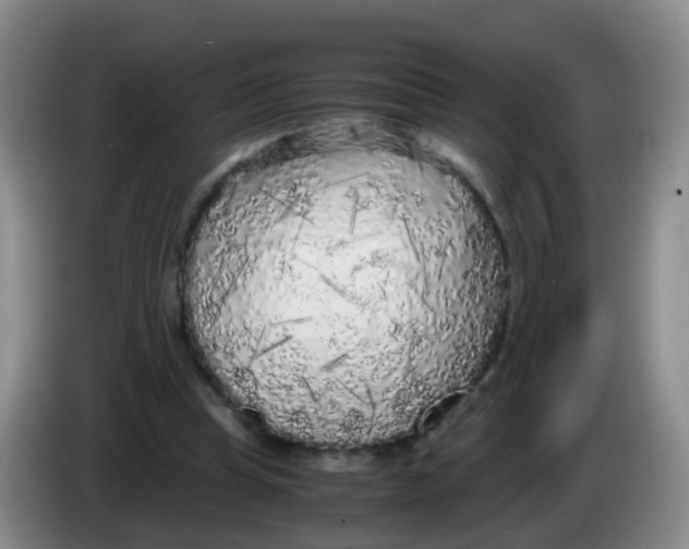 X0000083980345200703091829