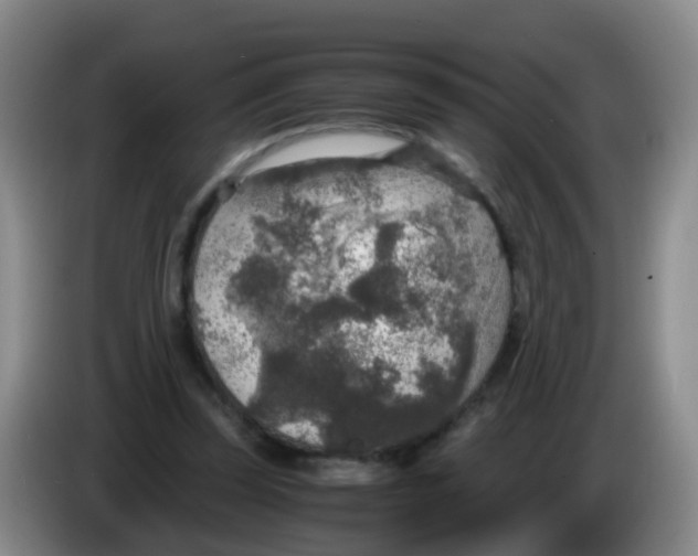 X0000083980347200703091829