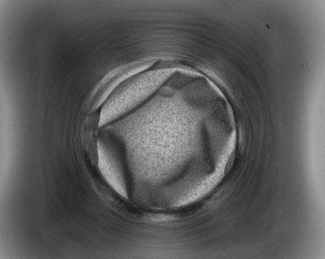 X0000083980348200703091829