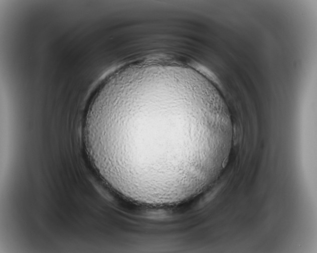 X0000083980349200703091829