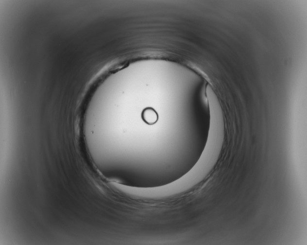 X0000083980350200703091829