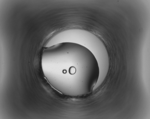 X0000083980352200703091829