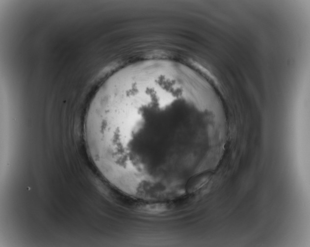 X0000083980353200703091829