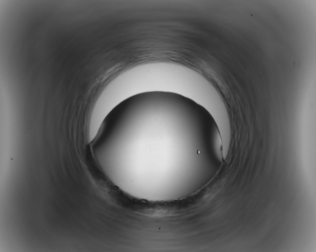 X0000083980356200703091829