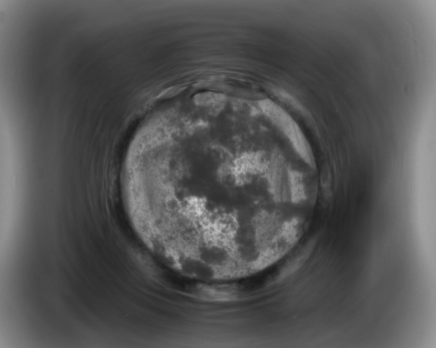 X0000083980359200703091829