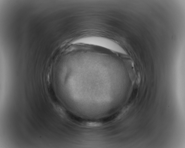 X0000083980360200703091829