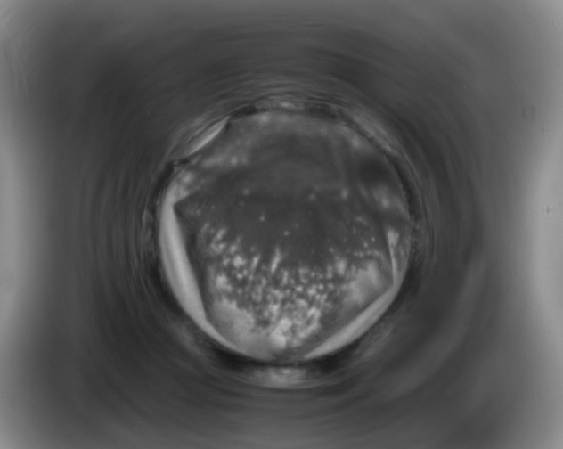 X0000083980361200703091829