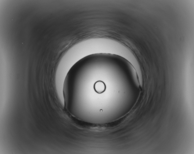 X0000083980362200703091829