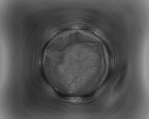 X0000083980363200703091829