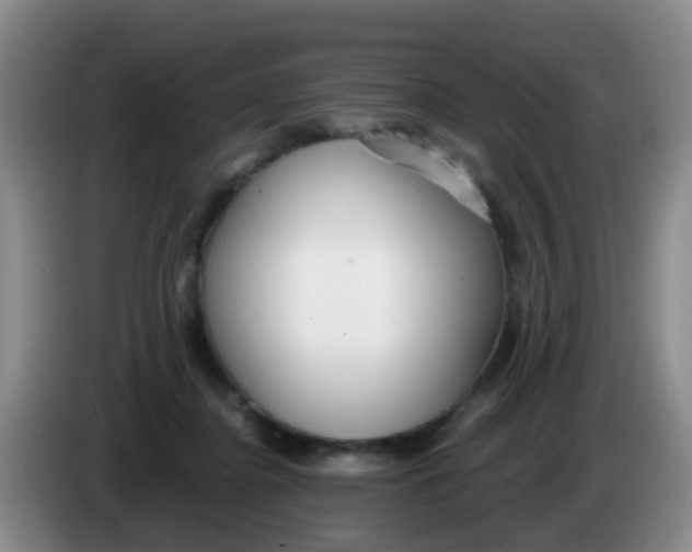 X0000083980364200703091829