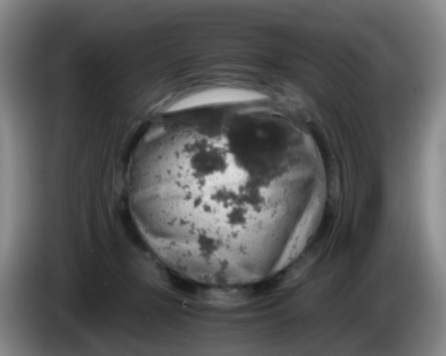 X0000083980367200703091829