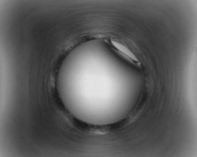 X0000083980368200703091829