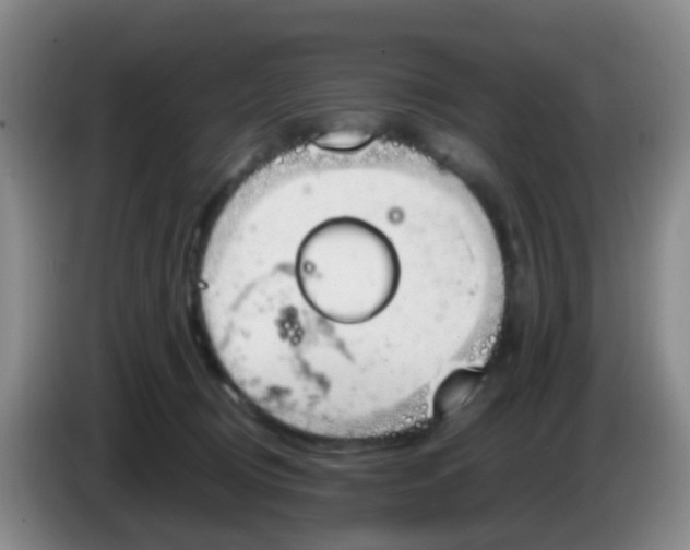 X0000083980370200703091829