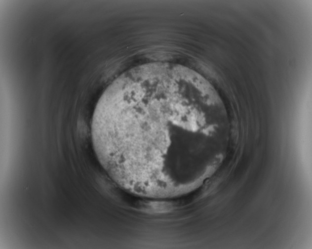 X0000083980371200703091829