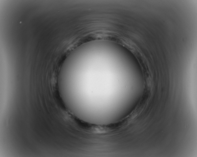 X0000083980372200703091829